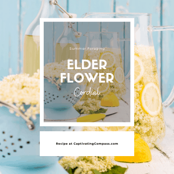 image of elderflower cordial with text overlay. Elderflower cordial recipe at www.CaptivatingCompass.com