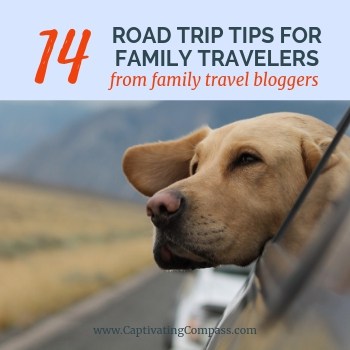 image of dog with head out car window with text overlay Road Trip Tips from Family Travel Bloggers from www.CaptivatingCompass.com