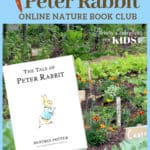 image of The Tale of Peter Rabbit Online Book Club for Kids from Literary Adventures for Kids from www.captivatingcompass.com