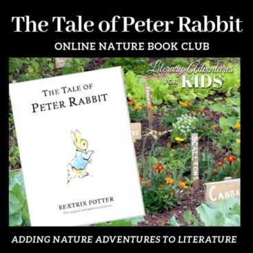 image of The Tale of Peter Rabbit Online Book Club for Kids from Literary Adventures for Kids from www.captivatingcompass.com