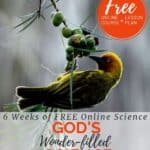 image of bird eating berries with text overlay. FREE Online Course & Lesson Check list. 6-Weeks of FREE Online Scince. god's Wonderfilled Science from CaptivatingCompass.com