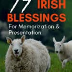 image of sheep with text overlay 17 Irish blessings for memorization & presentation from www.CaptivatingCompass.com