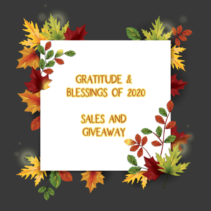 image of gratitude giveaway 2020 at www.captivatingcompass.com