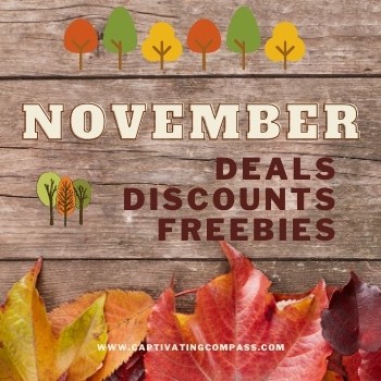 image of fall graphic with text overlay November Deals at www.captivatingcompass.com