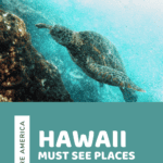 image tortoise. One of the must see places in Hawaii for families from CaptivatingCompass.com
