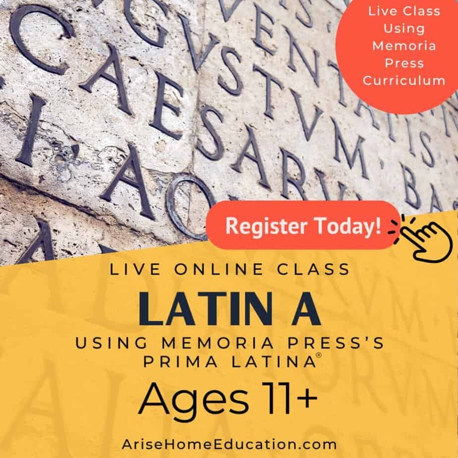 image of Latin A from Arise HOme Education, for Online foreign language class for teens.