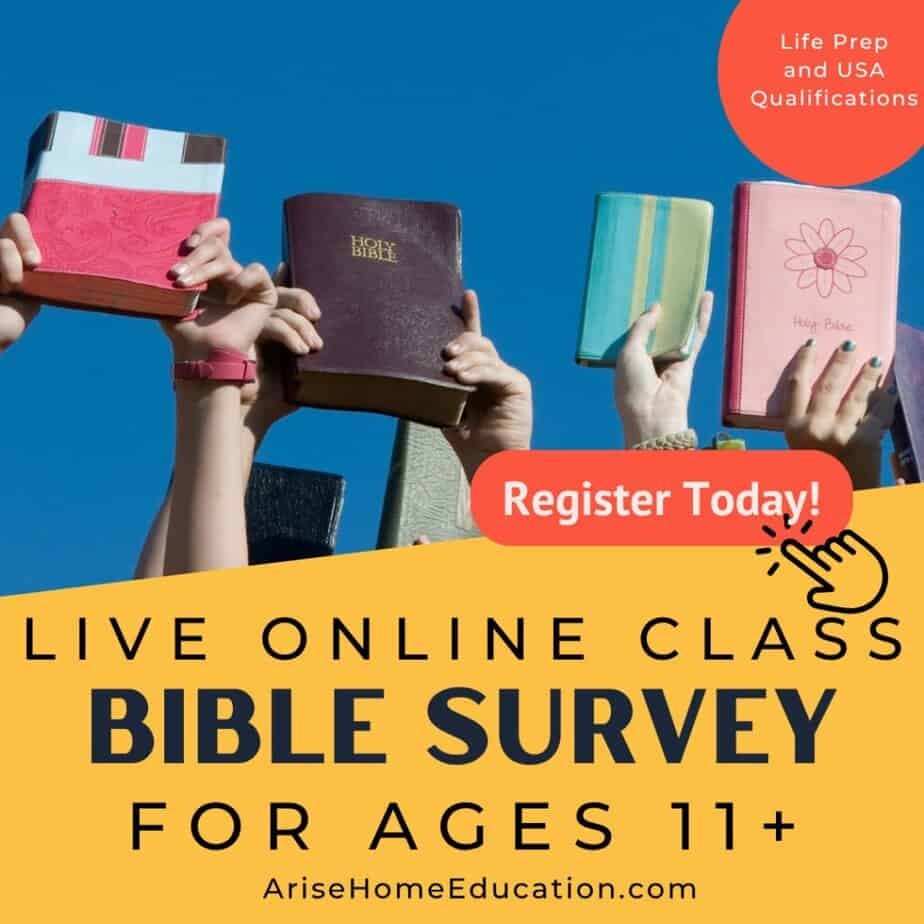 image of Bible Survey at Arise Home Education. A bible class for teens.