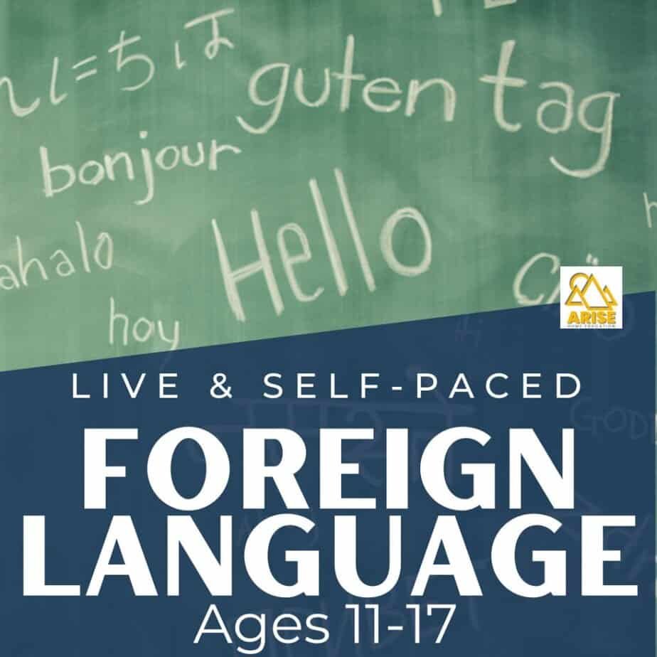 image of coruse category at ARise HOme Education for Foreign Languages for Teens 11-17 on CaptivatingCompass.com